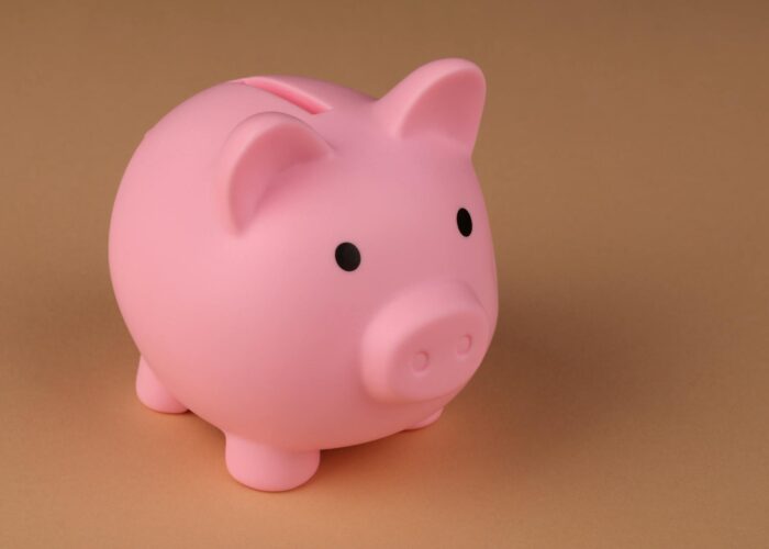 Economizar Sem Sacrifício: Dicas Essenciais Para o Seu Dia a Dia Financeiro 6 Descubra como economizar sem sacrifício